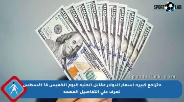 «تراجع كبير» أسعار الدولار مقابل الجنيه اليوم الخميس 14 أغسطس تعرف على التفاصيل المهمة